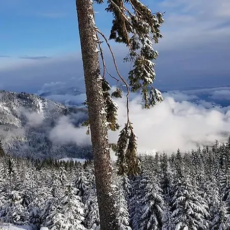 Loka At Raduha Loža