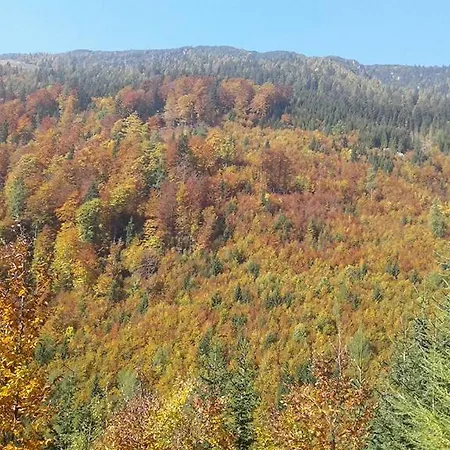 Lodge Loka At Raduha Ljubljana